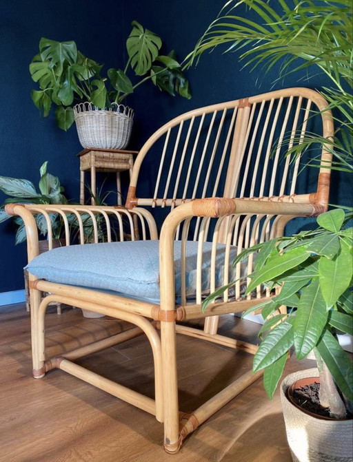 Rotan vintage design fauteuil
