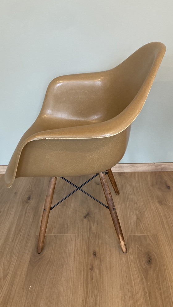 Image 1 of Eames Dark Ochre DSW Dining Armchair