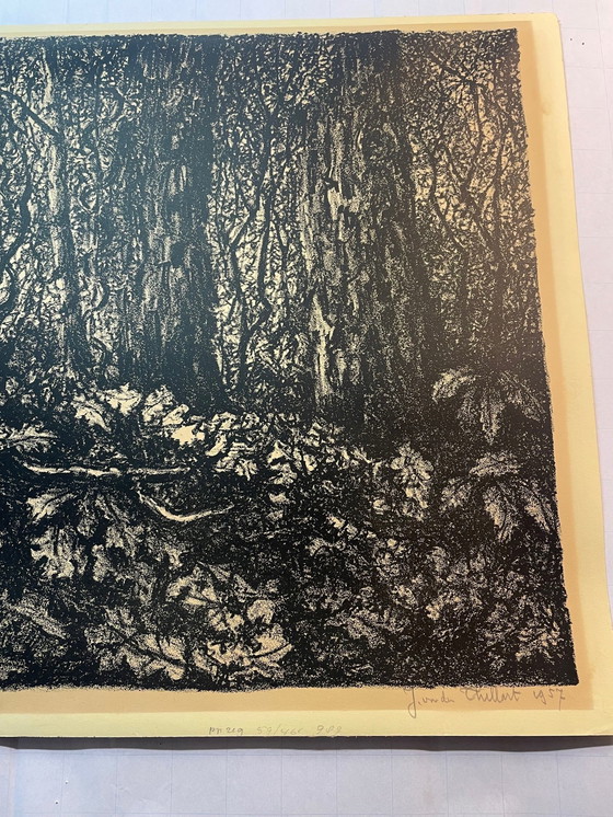 Image 1 of J Van Den Thillart - Herfstbos