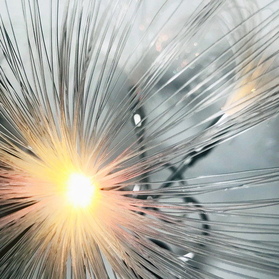 Image 1 of Vintage palmboom lamp - Space Age nachtlampje - glasvezel - 1970