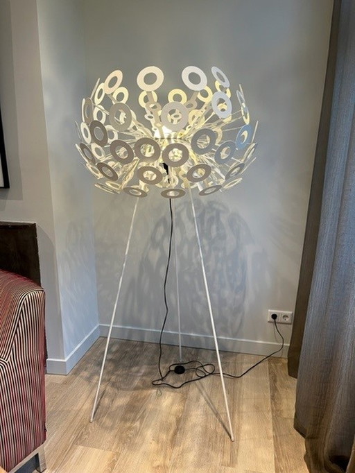 Moooi dandelion lamp