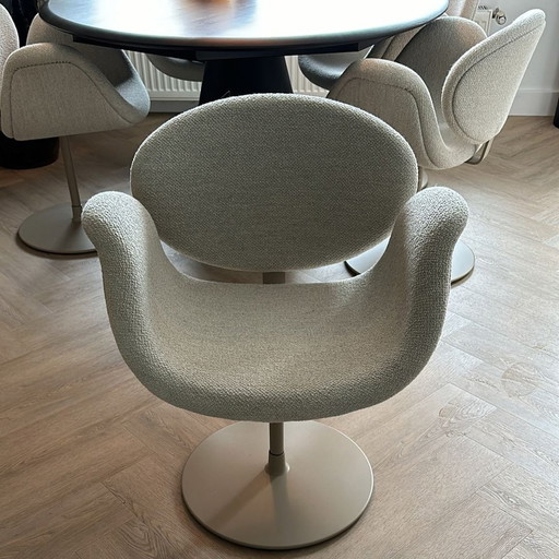 6x Artifort Little Tulip chair