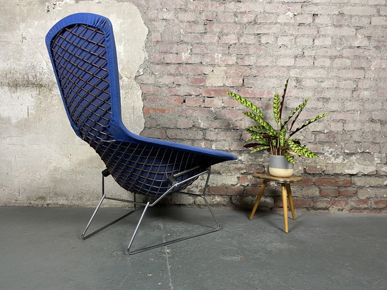 Image 1 of Knoll International Vogelstoel met voetenbankje van Harry Bertoia