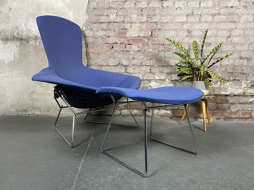 Knoll International Vogelstoel met voetenbankje van Harry Bertoia