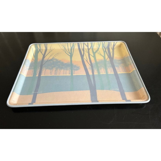 Image 1 of Vintage glasvezel dienblad van Françoise Wintz voor Alpac, 1980