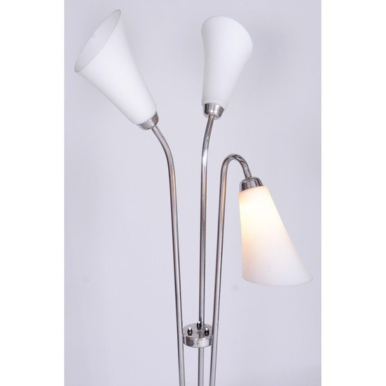 Image 1 of Vintage vloerlamp van verchroomd staal en gelakt hout, Tsjecho-Slowakije 1930
