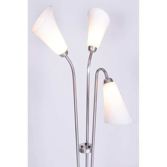 Image 1 of Vintage vloerlamp van verchroomd staal en gelakt hout, Tsjecho-Slowakije 1930