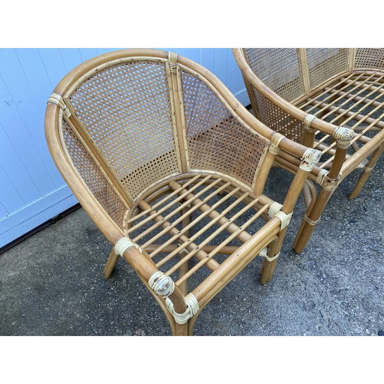 Image 1 of Vintage rotan en rieten woonkamer set, 1970