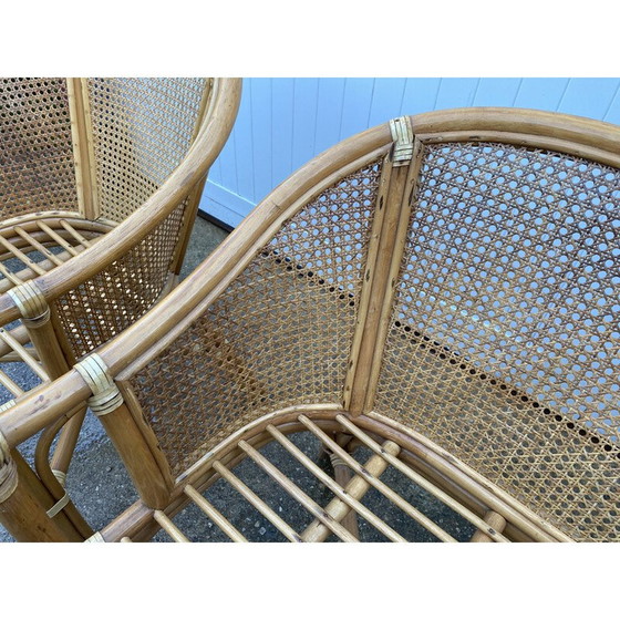 Image 1 of Vintage rotan en rieten woonkamer set, 1970