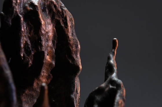 Image 1 of Bronzen spatscherm