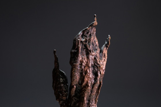 Image 1 of Bronzen spatscherm