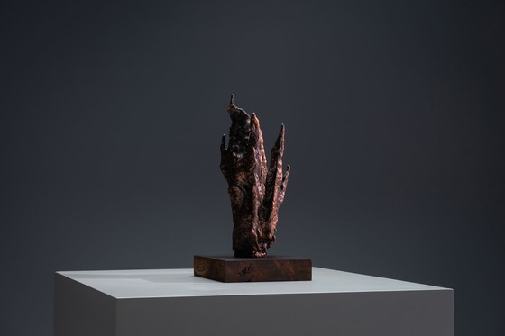 Image 1 of Bronzen spatscherm