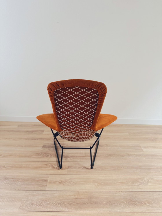 Image 1 of Knoll Vogelstoel van Harry Bertoia