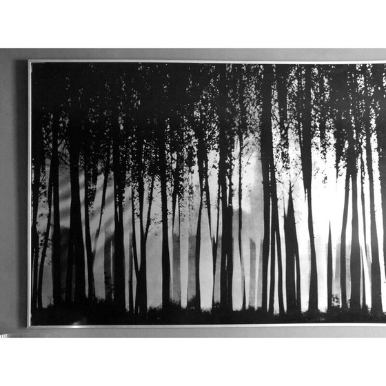 Image 1 of Vintage schilderij Fontana Franco ontwerp door Almar Milano , Italië 1976