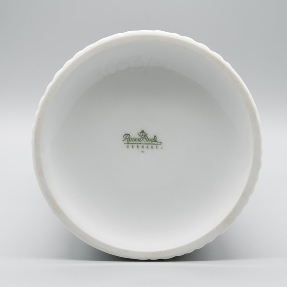 Image 1 of Werner Schreib Bamboe Reliëf Rosenthal Studio Line Bisque Porseleinen Vaas Duo Xl