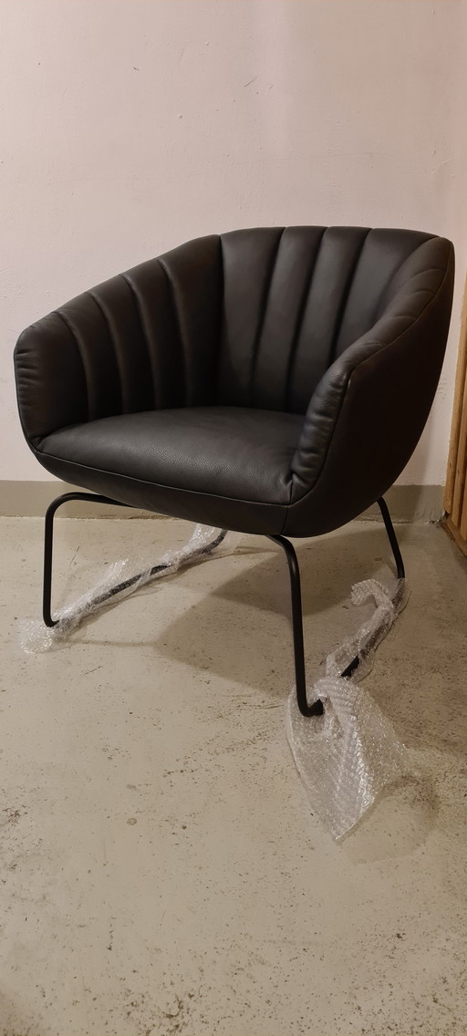 Signet Lenni designer/clubfauteuil leer zwart