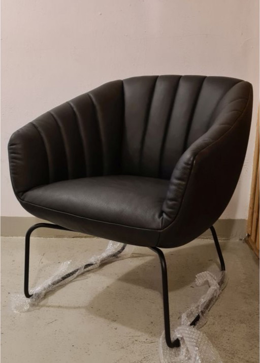 Signet Lenni designer/clubfauteuil leer zwart