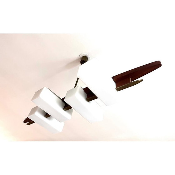 Image 1 of Vintage hanglamp van Lunel, 1950