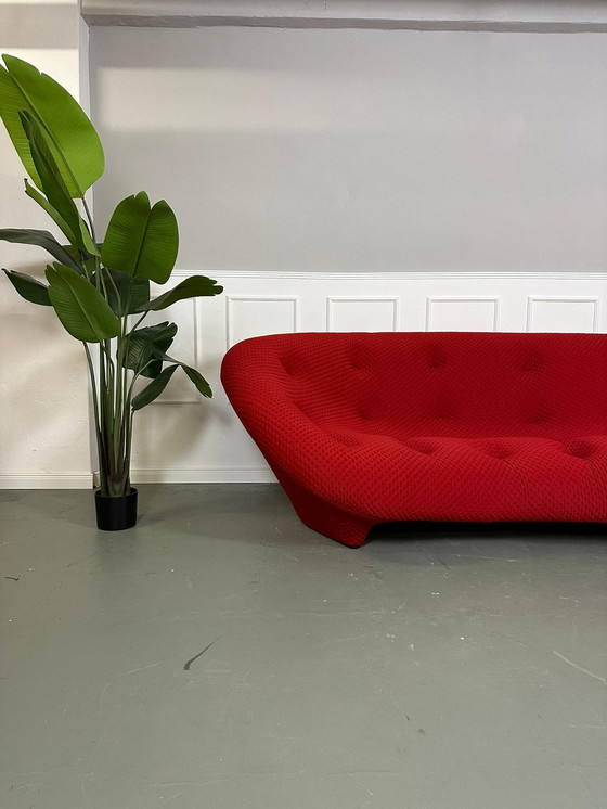 Image 1 of Ligne Roset Ploum Designer Sofa Rood Bankje 4 Zits