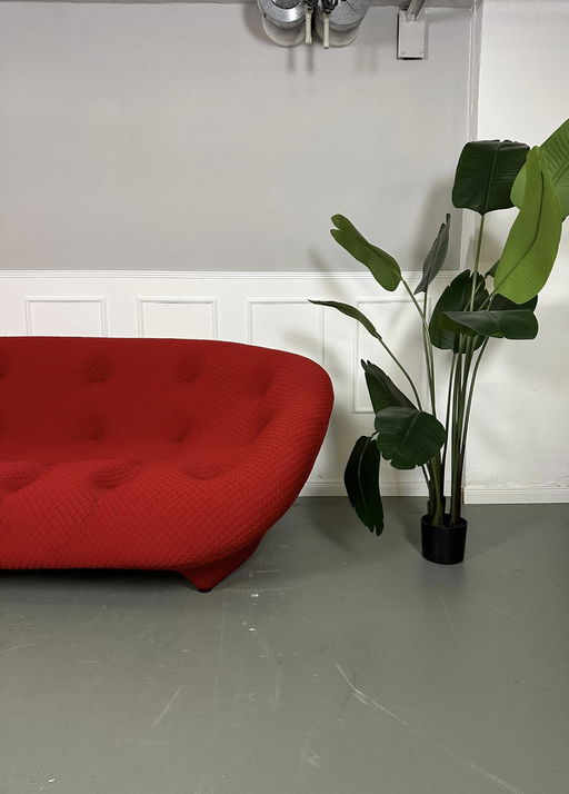 Ligne Roset Ploum Designer Sofa Rood Bankje 4 Zits