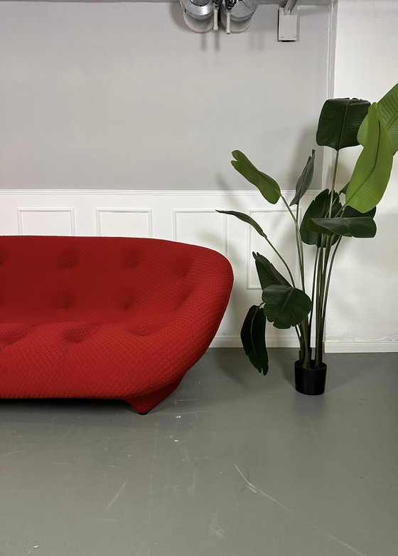 Image 1 of Ligne Roset Ploum Designer Sofa Rood Bankje 4 Zits