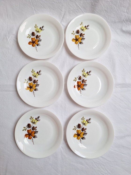 Image 1 of Arcopal Vintage soepborden