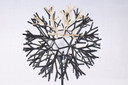Pallucco Plantana Coral vloerlamp