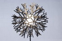 Pallucco Plantana Coral vloerlamp