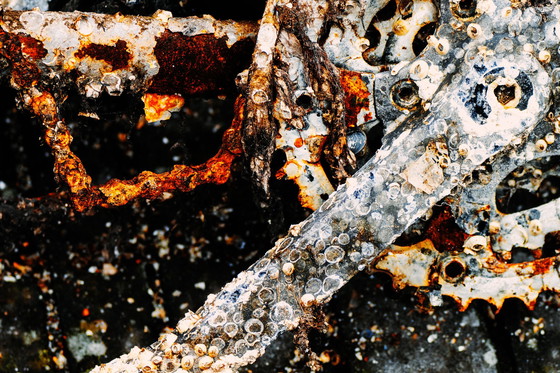 Image 1 of Robbert Frank Hagens- Bicycle Taken By The Sea I