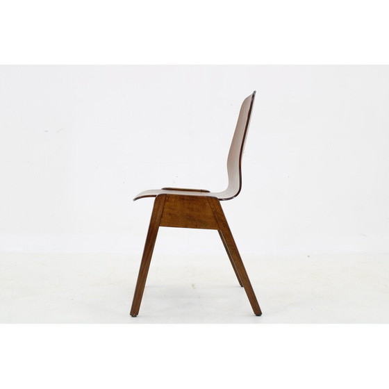 Image 1 of Set van 7 vintage beuken eetkamerstoelen, Duitsland 1970