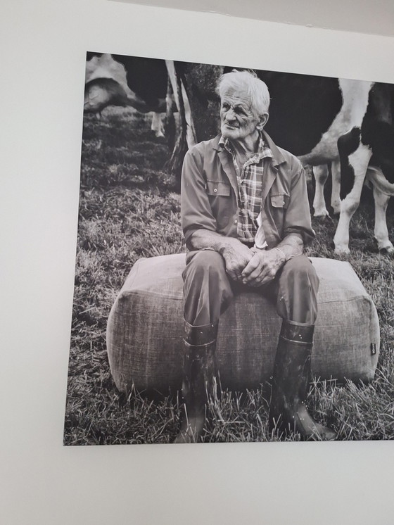 Image 1 of Enorme Canvas Met Reclame Afbeelding Bryck