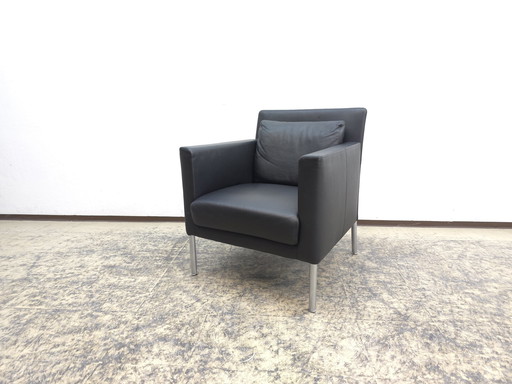 Walter Knoll Jason fauteuil Design fauteuil Leren fauteuil Stoel