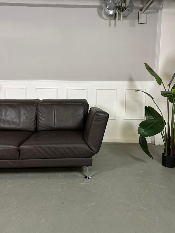 Image 1 of Brühl Moule Designer Sofa Leder Bruin Bankstel