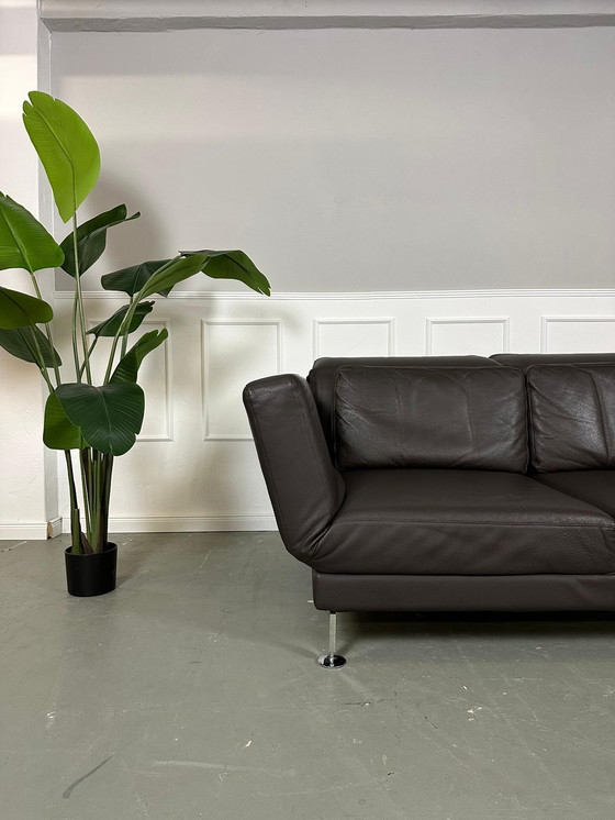 Image 1 of Brühl Moule Designer Sofa Leder Bruin Bankstel