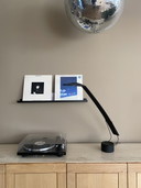 Dove Bureau Lamp By Barbaglia & Colombo 