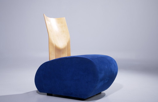 Karl Friedrich Förster Lounge Chairs By Kff Design