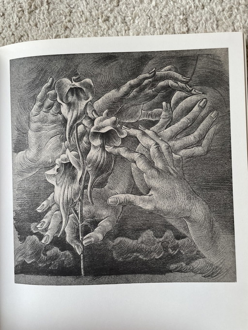 Vrij moeilijk aan te komen leestafelboek “The Drawings Of Hans Bellmer 