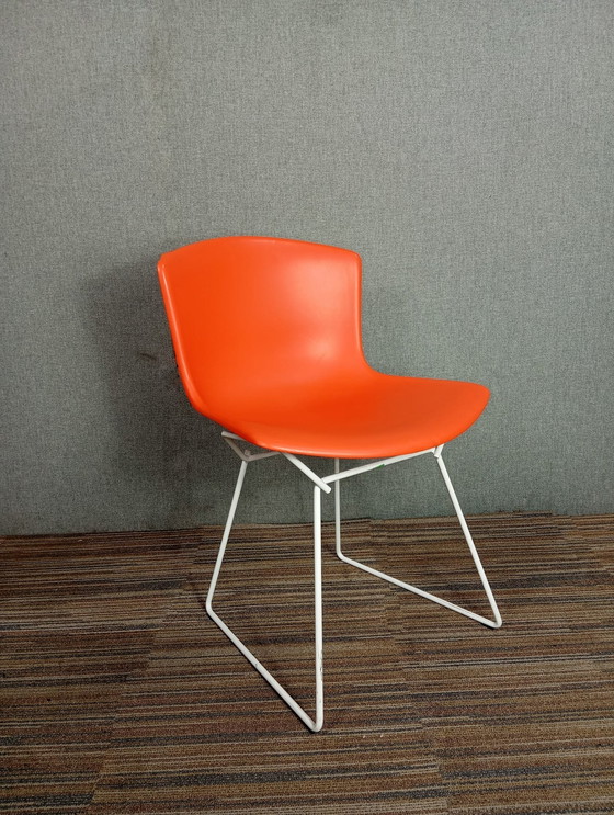 Image 1 of 1X Harry Bertoia Plastic Chair