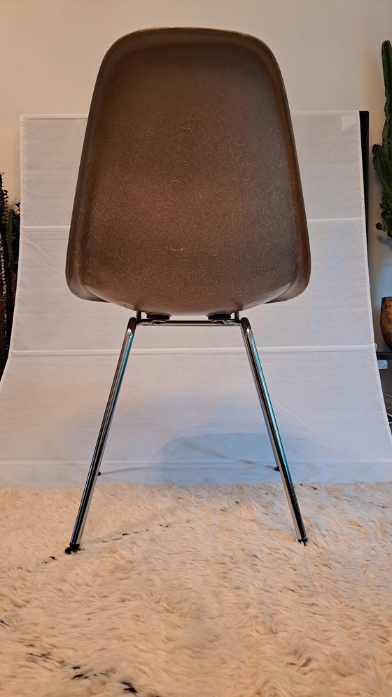 Image 1 of 4X Eames Herman Miller Dsx Fiberglass Stoelen