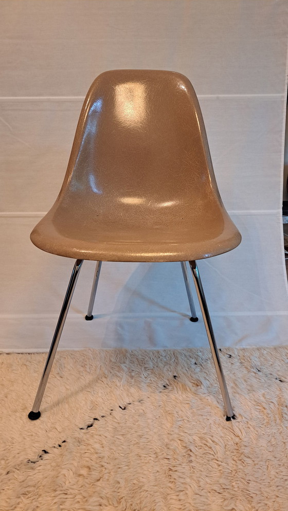 Image 1 of 4X Eames Herman Miller Dsx Fiberglass Stoelen