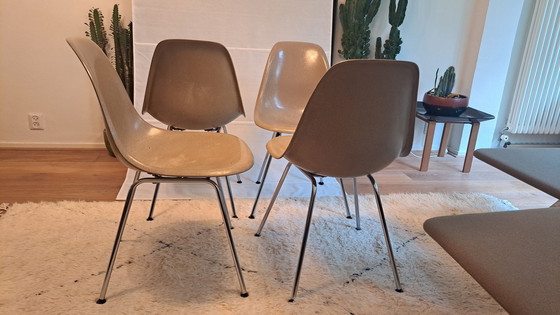 Image 1 of 4X Eames Herman Miller Dsx Fiberglass Stoelen