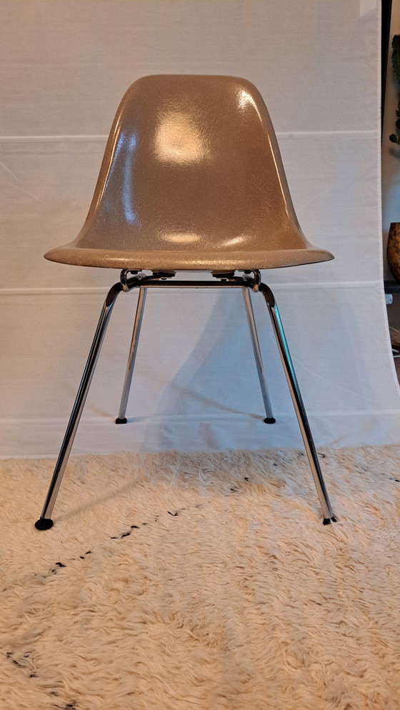 Image 1 of 4X Eames Herman Miller Dsx Fiberglass Stoelen