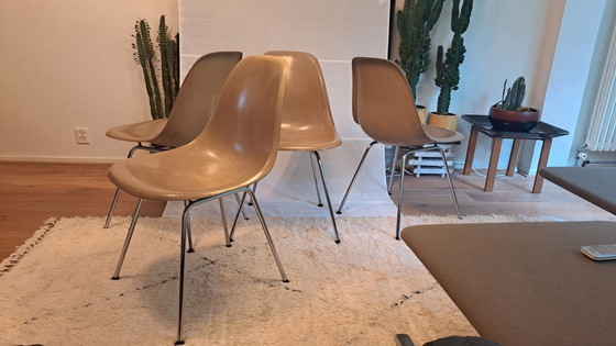 Image 1 of 4X Eames Herman Miller Dsx Fiberglass Stoelen