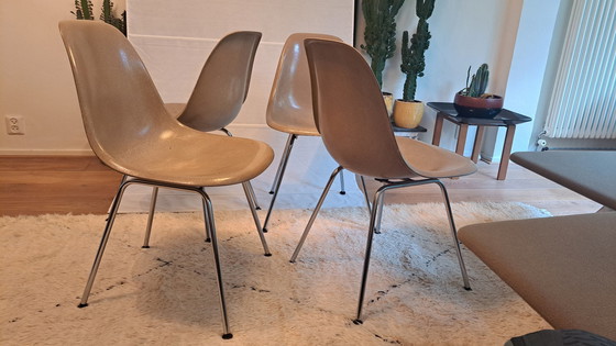 Image 1 of 4X Eames Herman Miller Dsx Fiberglass Stoelen