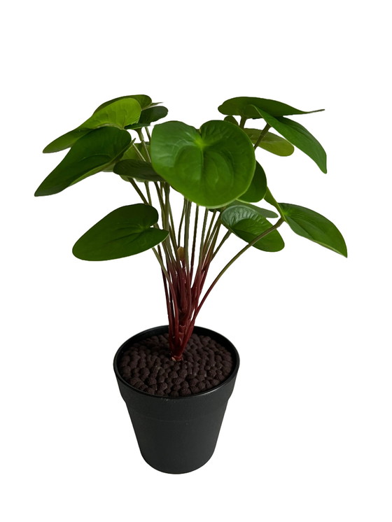 Image 1 of Kunststof Plant - Pilea Peperomioides 