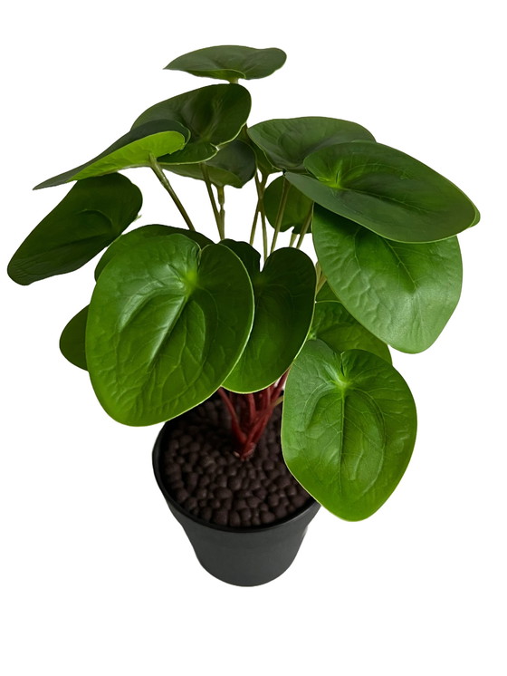 Image 1 of Kunststof Plant - Pilea Peperomioides 