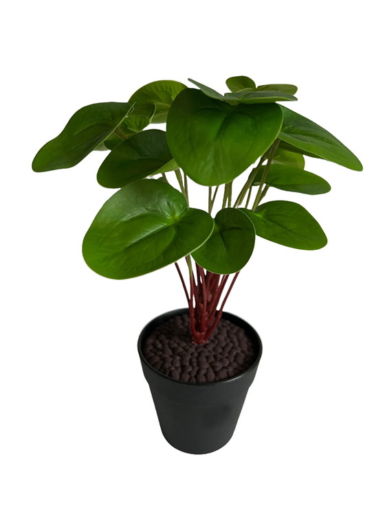 Image 1 of Kunststof Plant - Pilea Peperomioides 