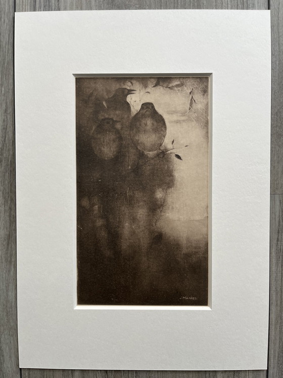 Image 1 of Jan Mankes Originele Heliogravure Lijsters in Avond Stemming