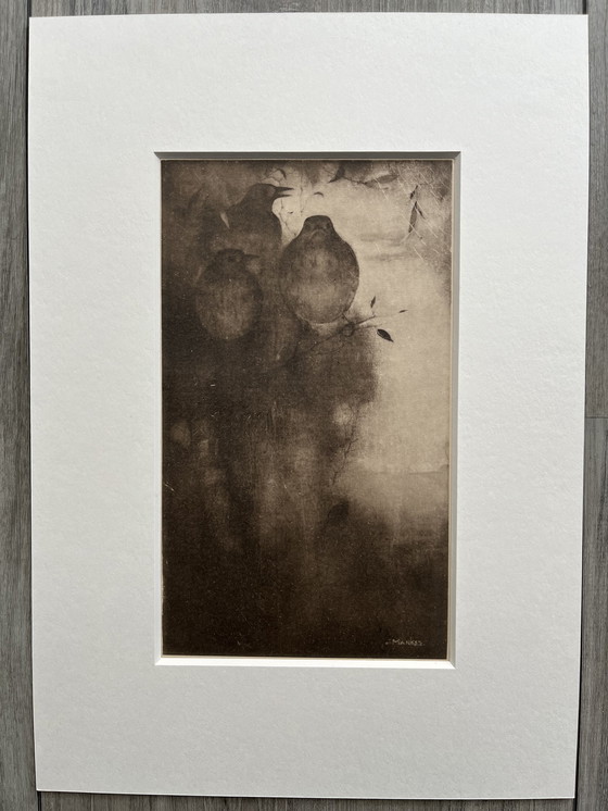 Image 1 of Jan Mankes Originele Heliogravure Lijsters in Avond Stemming