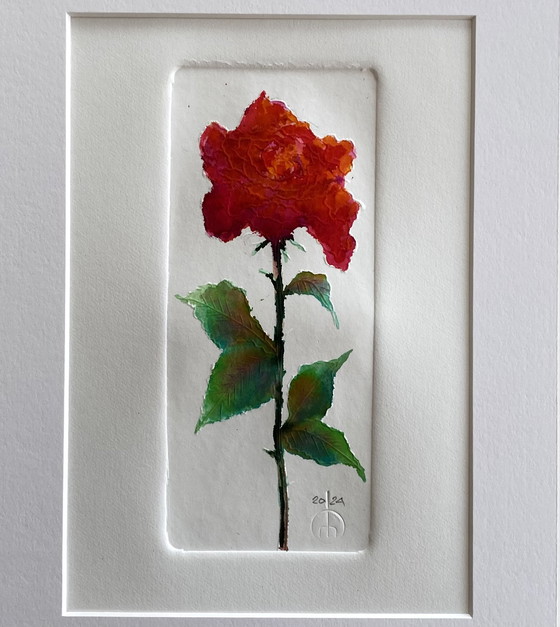 Image 1 of Hiddehidde - Spring Rose